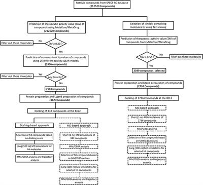 Integrating Ligand and Target-Driven Based Virtual Screening Approaches With in vitro Human Cell Line Models and Time-Resolved Fluorescence Resonance Energy Transfer Assay to Identify Novel Hit Compounds Against BCL-2